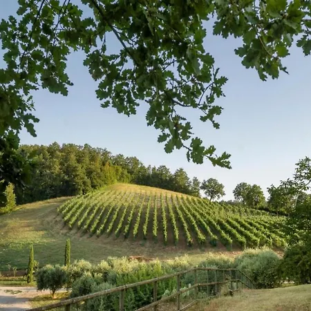 Belvilla By Oyo Bagnoletto Holiday home Orte